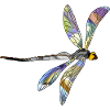 Libelle