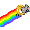Crypto Cat