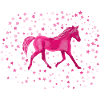 Pony stars