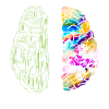 Neurodiversity Rainbow Autisme Awareness ASD ADHD