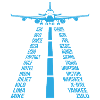 Airplane Pilot Copilot Gift