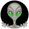 Grey Alien
