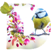 printemps oiseau papillon d