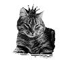cat crown