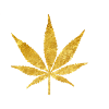 Hemp by Midas