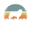 Australian Shepherd australischer Schäferhund