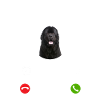 Neufundländer my Boss