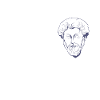 Marcus Aurelius Cytat Filozofia Filozof Stoicki
