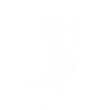 Centaur Mythology Centaur Cryptozoology