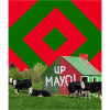 Mayo GAA