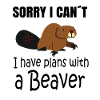 BEAVER: Plans with a Beaver