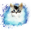 chat ,illustration ,bleu,aquarelle, chat