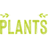 vegan vegan