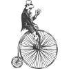Gentleman Frog on High Wheel