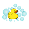 rubber duck