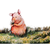 Piglet on the meadow
