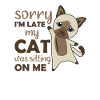 Cat cats kitten funny saying