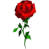 rose