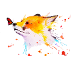 Rotfuchs