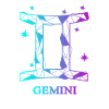 Gemini Twins