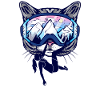 Climbing Mountaineering Cats Climber Women