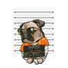Dog Gangster dog mugshot Bulldog