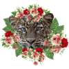 Leo Le Chat