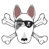 Bull terrier pirate