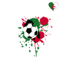 tee shirt algerie