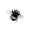 Die Hummel. Illustrativer Tier Print