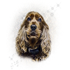Cocker Spaniel