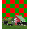 Comté de Mayo GAA
