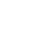 NICE - Palm tree