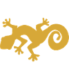 gecko