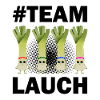 Team Lauch