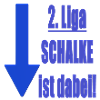 Abstieg Schalke
