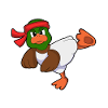 Ente Karate Kampfsport