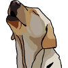 Labrador cartoon