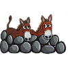 Funny Donkeys