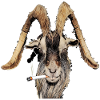 Fumeur 😀