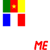 Moitié Français moitié Camerounais