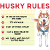 Husky Siberian Husky Dog