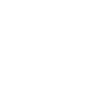 Husky Chien Husky Sibérien