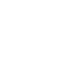 Zodiac Native American Eagle