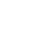 Sternzeichen Native American Specht