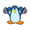 Penguin Bodybuilder Barbell Musculation