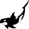 Killer Whale Willy Fish