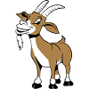 Goat laugh nicely