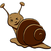 Snail funny wink