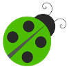 ladybird